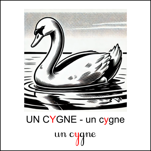 Graphie y